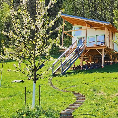 Rainbow Chalet Törcsvár Kültér fotó