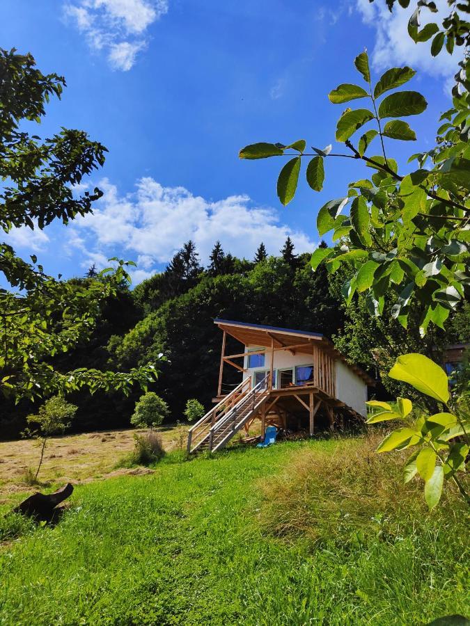 Rainbow Chalet Törcsvár Kültér fotó