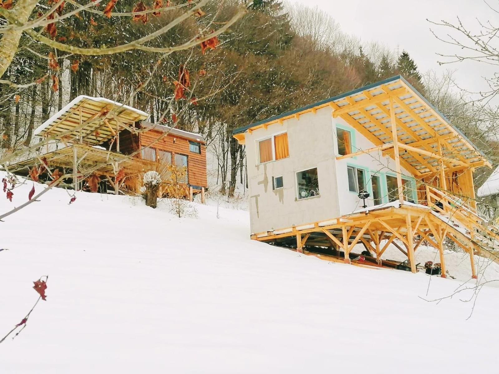 Rainbow Chalet Törcsvár Kültér fotó