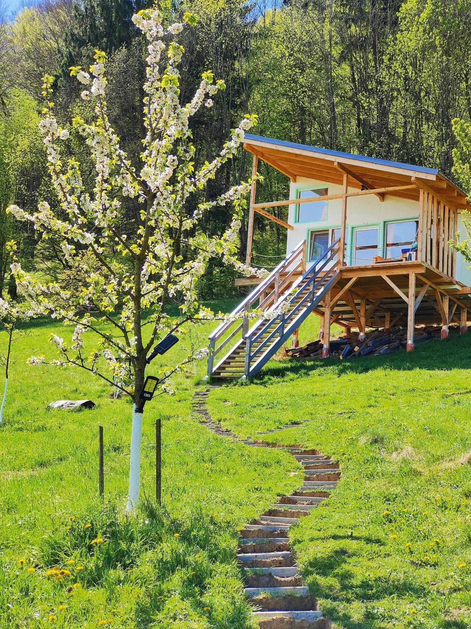 Rainbow Chalet Törcsvár Kültér fotó